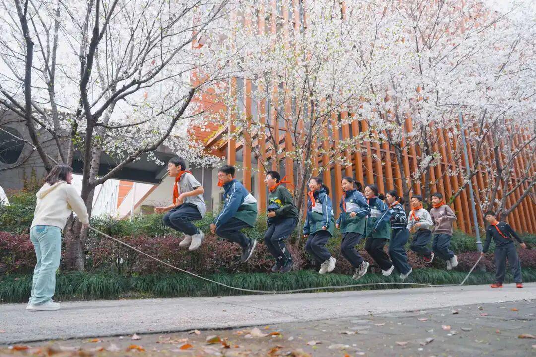  深度解码「无体育不青浦」：制度设计与执行路径的系统性分析 教育招生