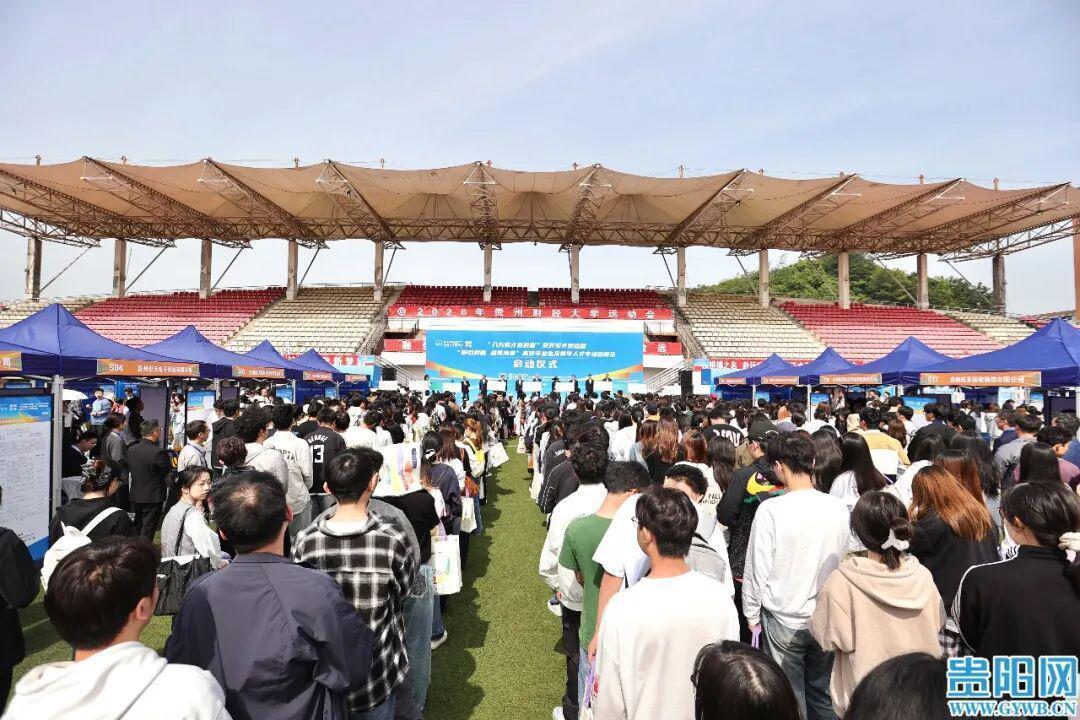  【深度】贵州人博会解码：4.23万岗位背后的产业人才布局逻辑 新闻