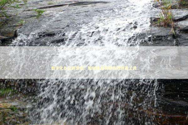 数字化办公新常态：如何精准获取高效浏览工具 IT技术