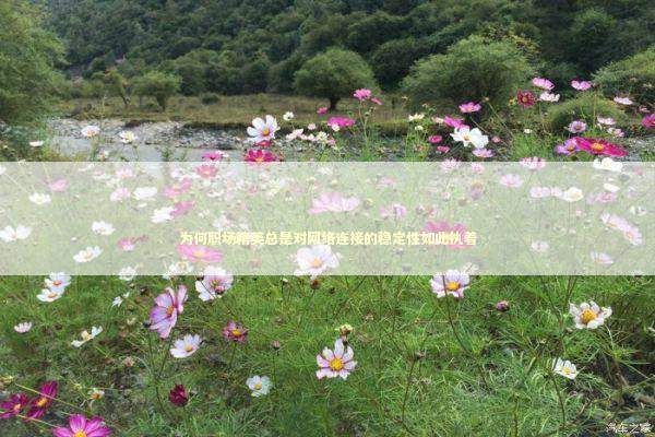 为何职场精英总是对网络连接的稳定性如此执着