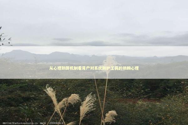 从心理防御机制看用户对系统防护工具的依赖心理