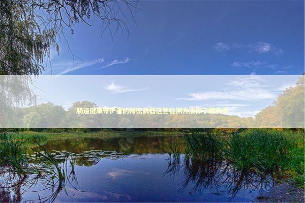 肠道健康守护者的秘密武器这些检测方法你了解多少