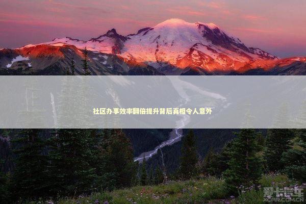 社区办事效率翻倍提升背后真相令人意外