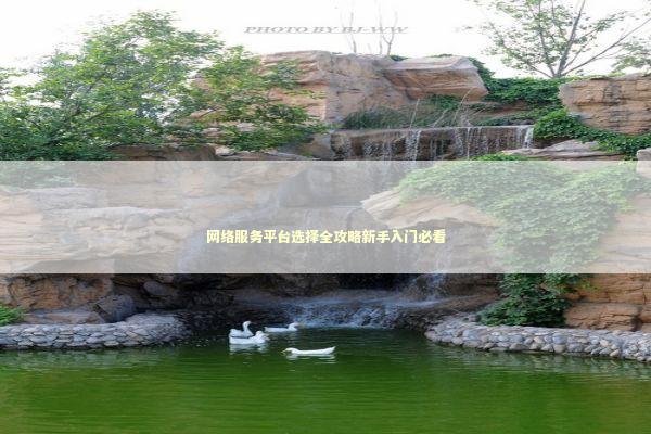 网络服务平台选择全攻略新手入门必看