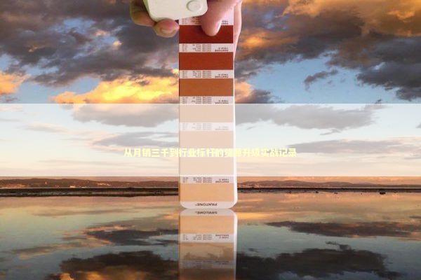 从月销三千到行业标杆的货源升级实战记录 企业服务